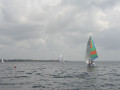 IMG 3525
