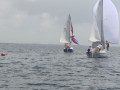 IMG 3536