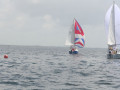 IMG 3537