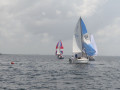 IMG 3538
