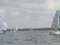 IMG 3541