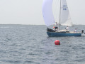 IMG 3545