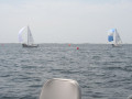 IMG 3548