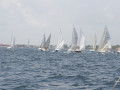 IMG 3558