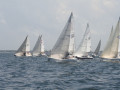 IMG 3563