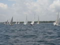 IMG 3566