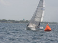 IMG 3572