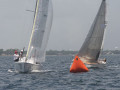 IMG 3574
