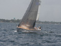 IMG 3575