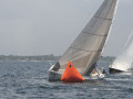 IMG 3576