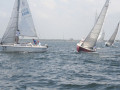 IMG 3584