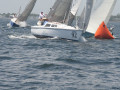 IMG 3590