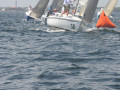 IMG 3592