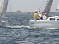 IMG 3594
