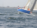 IMG 3596