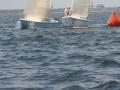 IMG 3597