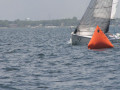 IMG 3603