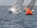 IMG 3606