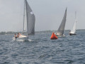 IMG 3607