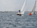 IMG 3608