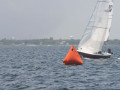 IMG 3617