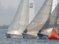 IMG 3629
