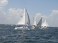 IMG 3637
