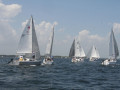 IMG 3638