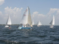 IMG 3640