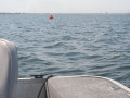 IMG 3648