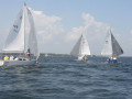 IMG 3650