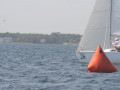 IMG 3656