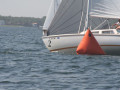 IMG 3657