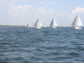 IMG 3658
