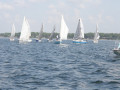 IMG 3704