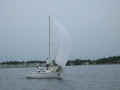 IMG 5012