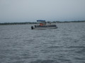 IMG 5017