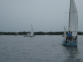 IMG 5019