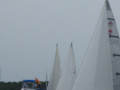 IMG 5024