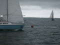 IMG 5036