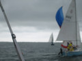 IMG 5037
