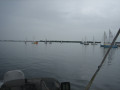 IMG 5049