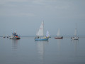 IMG 5053