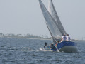 IMG 3717