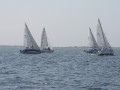 IMG 3718