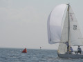 IMG 3739