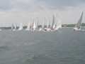 IMG 3751
