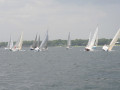 IMG 3761
