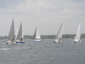 IMG 3766