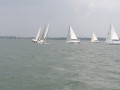 IMG 3774